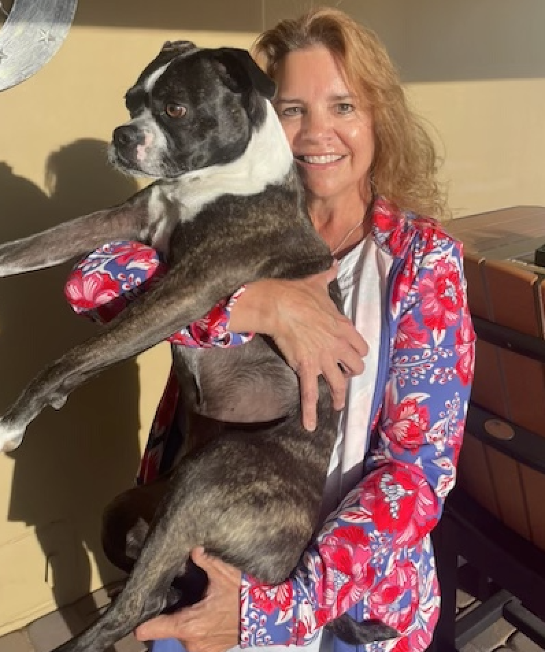 dog training in portland