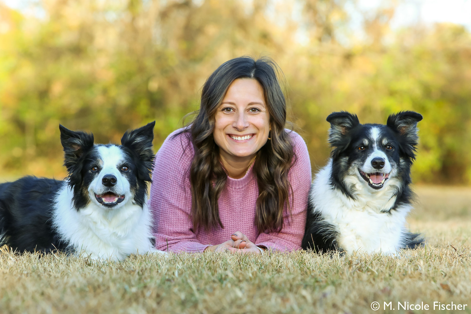 dog training in portland
