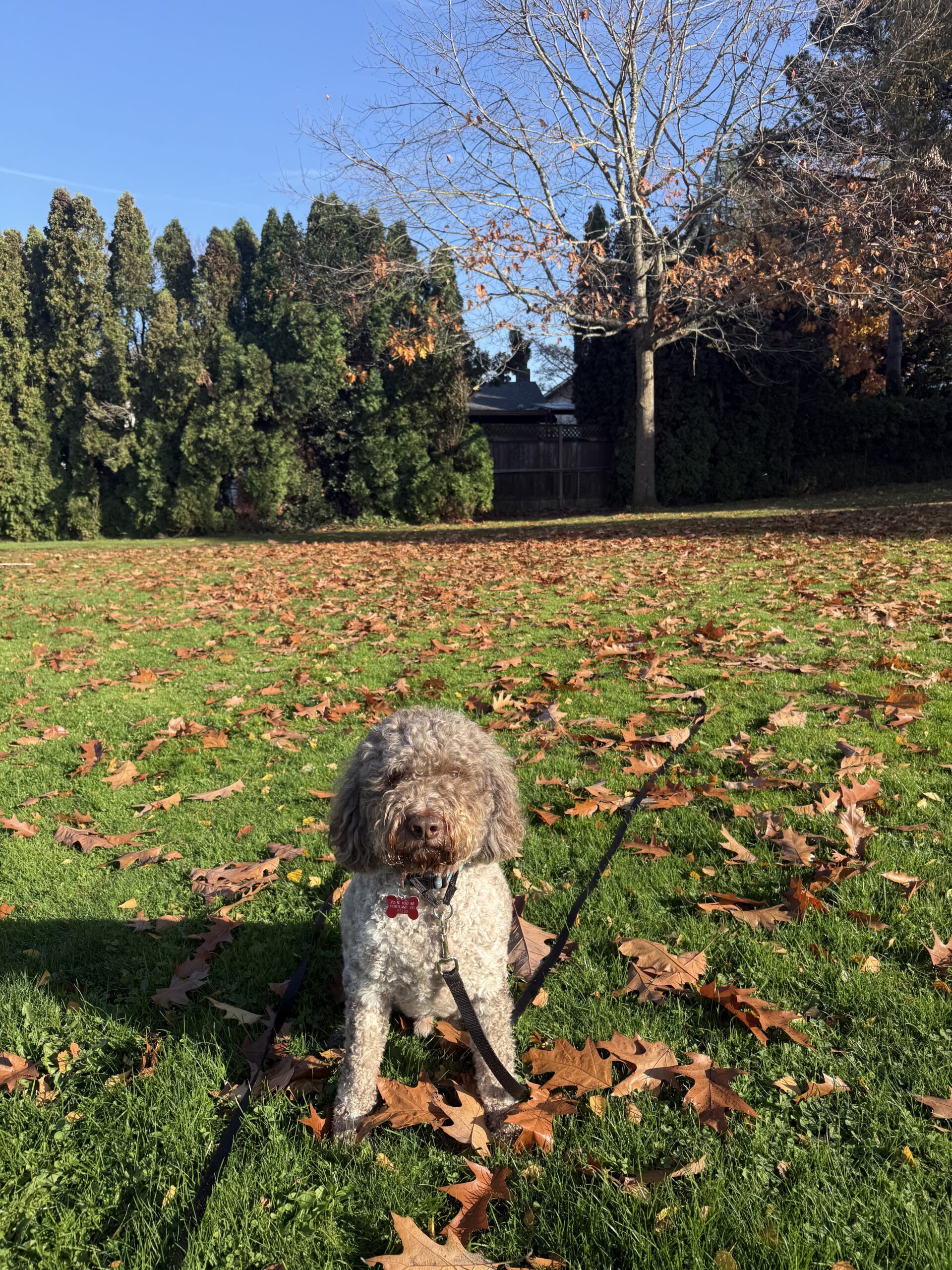 day training in portalnd